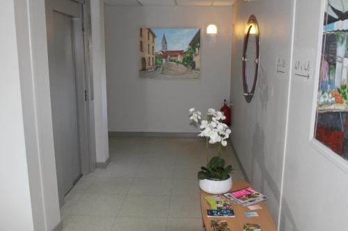 Le Saint Vincent Lyon Sud 3* Vourles